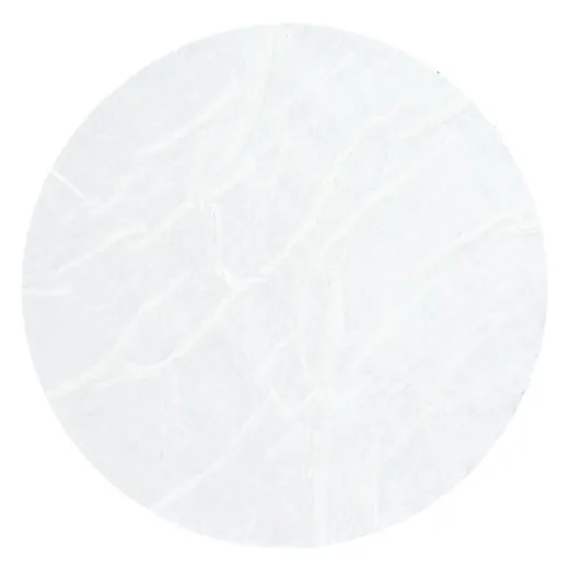 200000127_2.jpg
