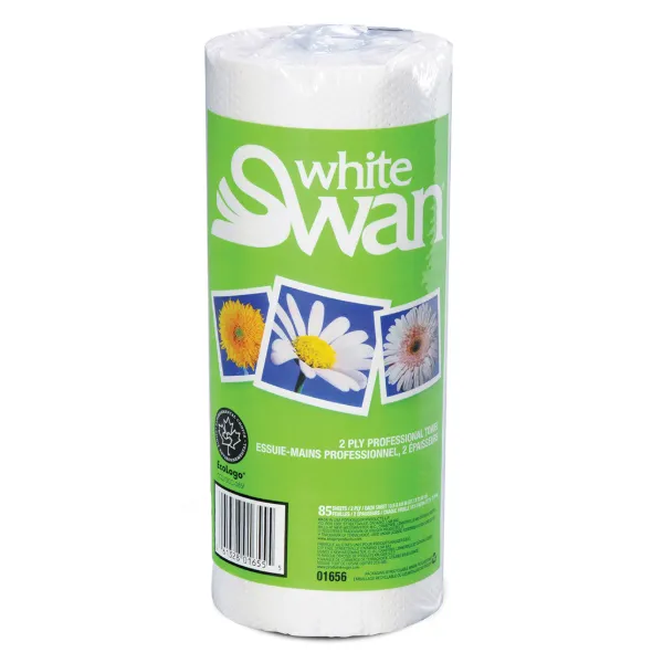 Paper Towel - 2-Ply Professional Household White 01890 10.9IN x 8IN 90 SHEETS/RL 24/CS