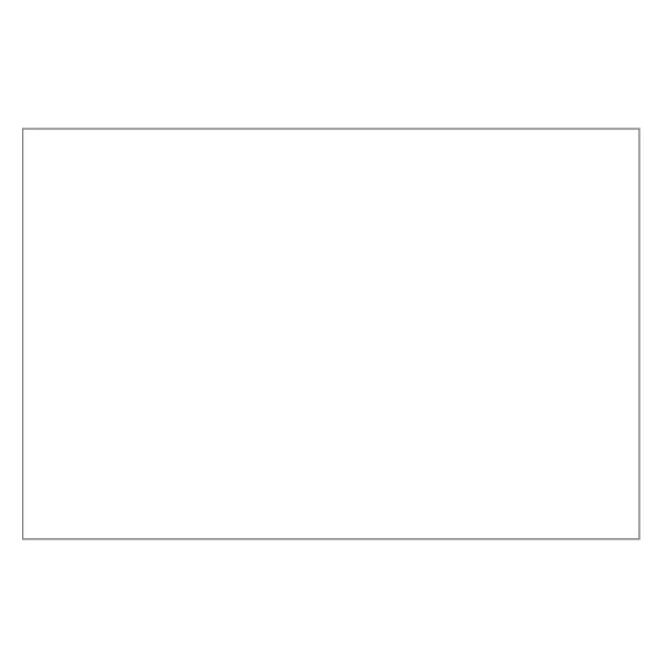 Labels - Plain Blank White PBL 4INx5IN 500/RL