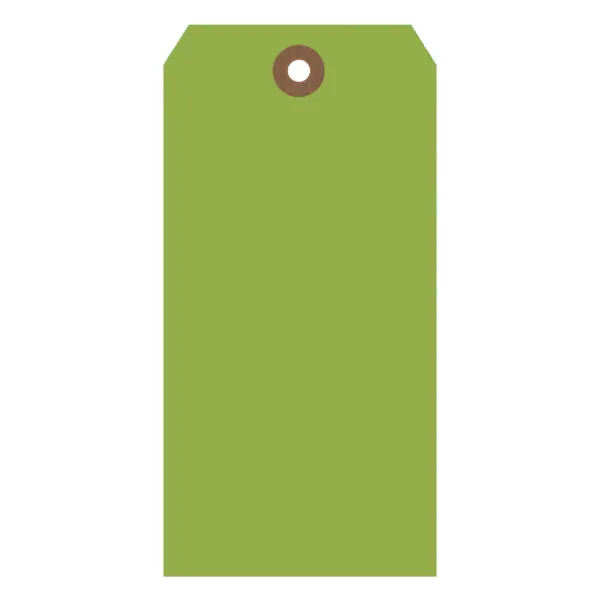 Shipping Tags Light Green ST8 6.25IN x 3.125IN #8 1000/BX